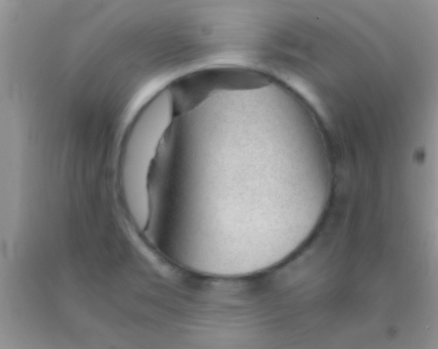 X0000091341469200709071208