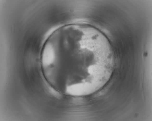 X0000091341470200709071208