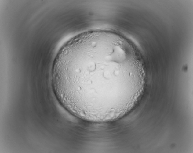 X0000091341471200709071208