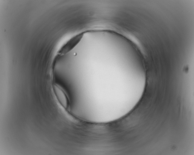 X0000091341472200709071208