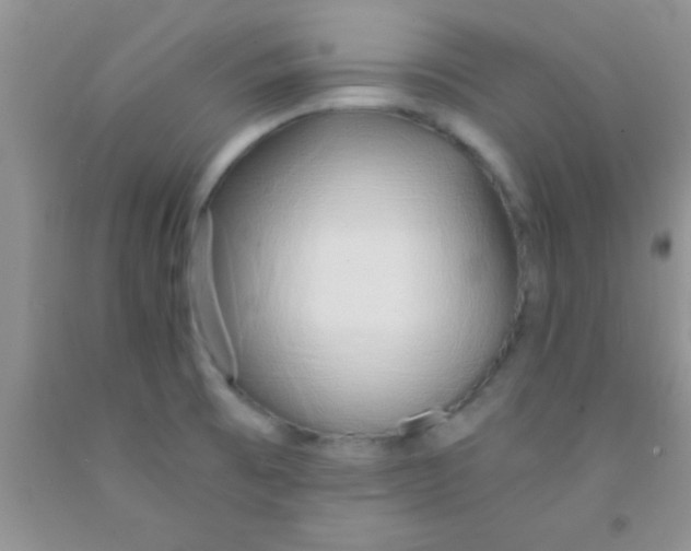 X0000091341473200709071208