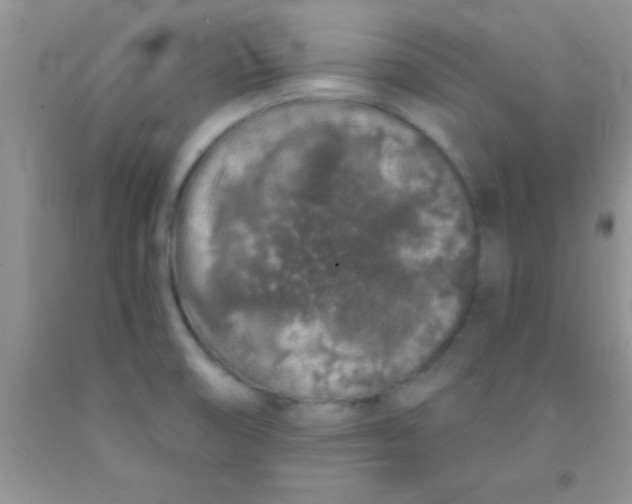 X0000091341474200709071208