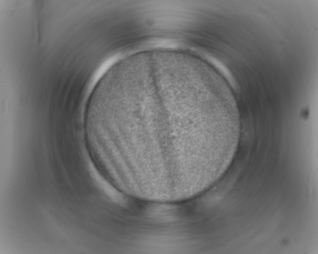 X0000091341475200709071208