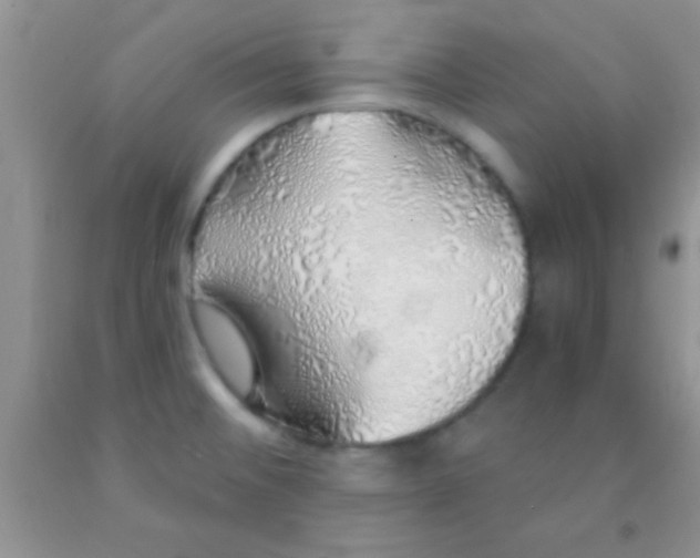 X0000091341476200709071208