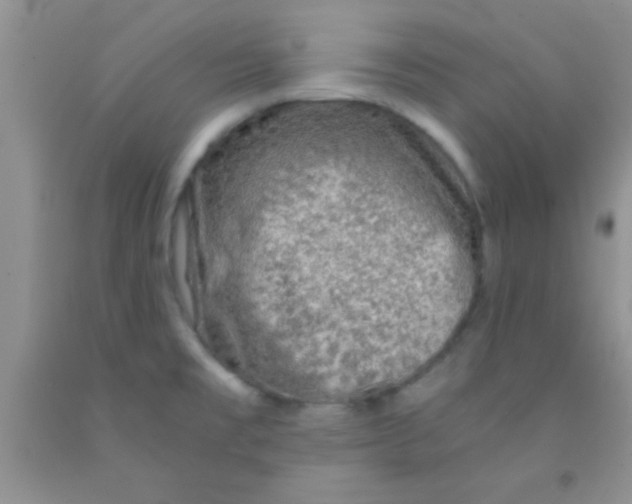 X0000091341477200709071208