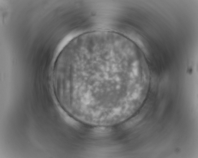 X0000091341478200709071208