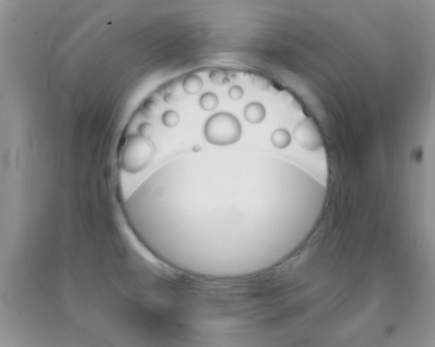 X0000091341479200709071208