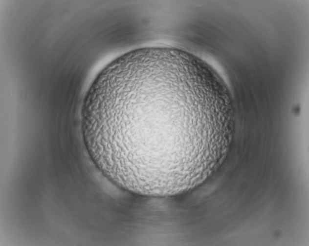 X0000091341480200709071208