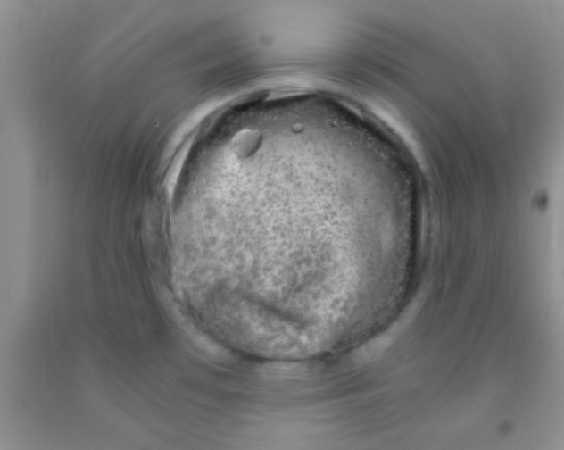 X0000091341481200709071208