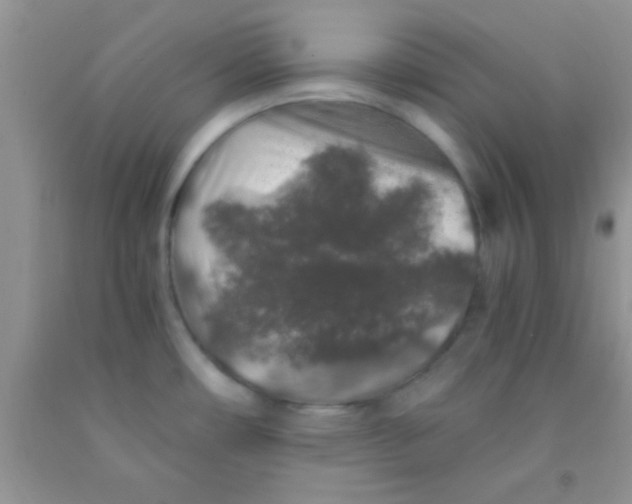 X0000091341482200709071208