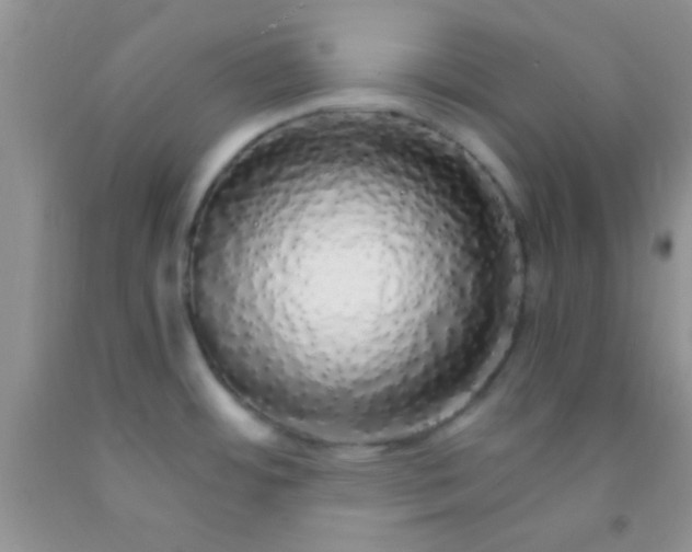 X0000091341484200709071208