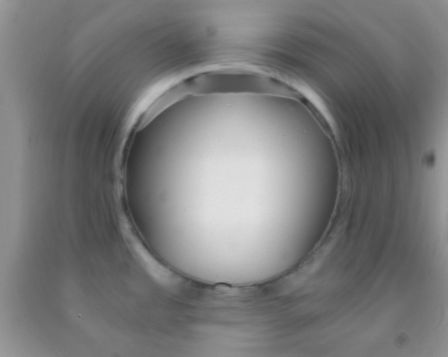 X0000091341485200709071208