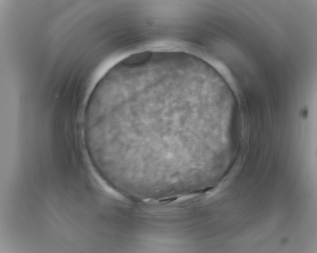 X0000091341486200709071208