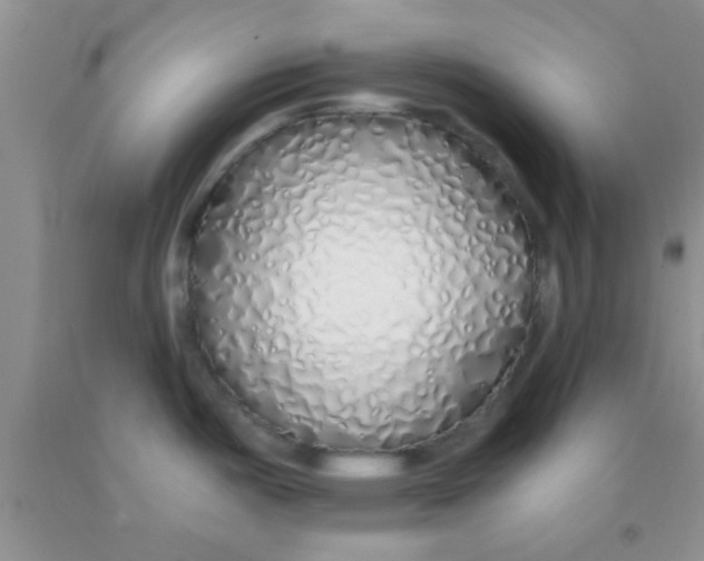 X0000091341487200709071208