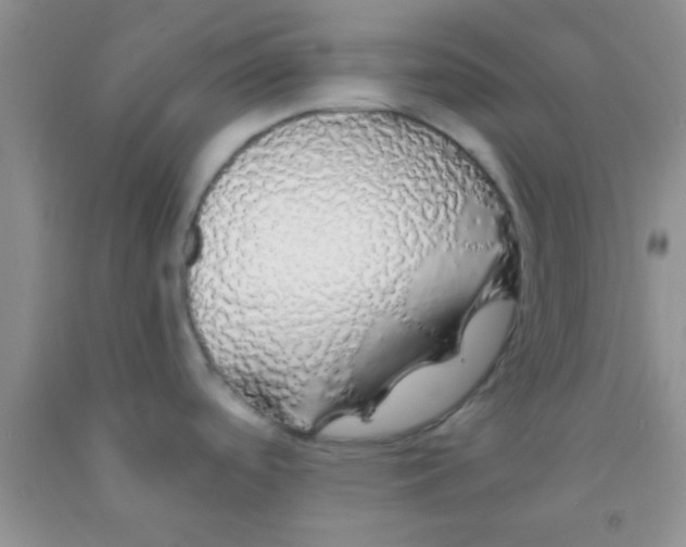 X0000091341488200709071208