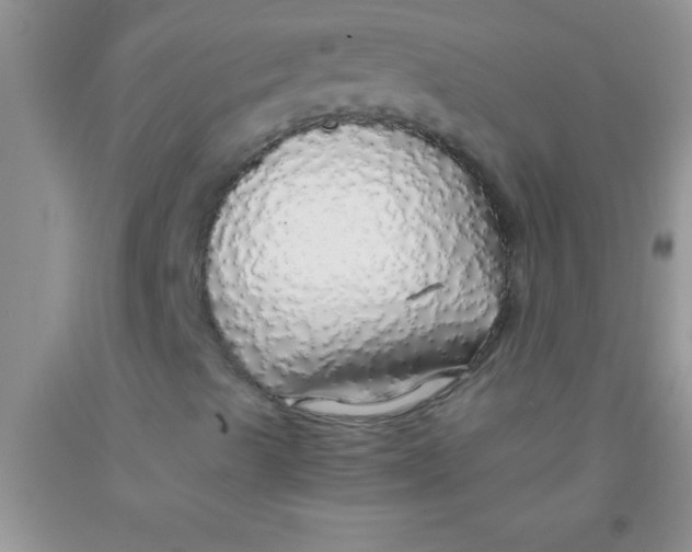 X0000091341489200709071207