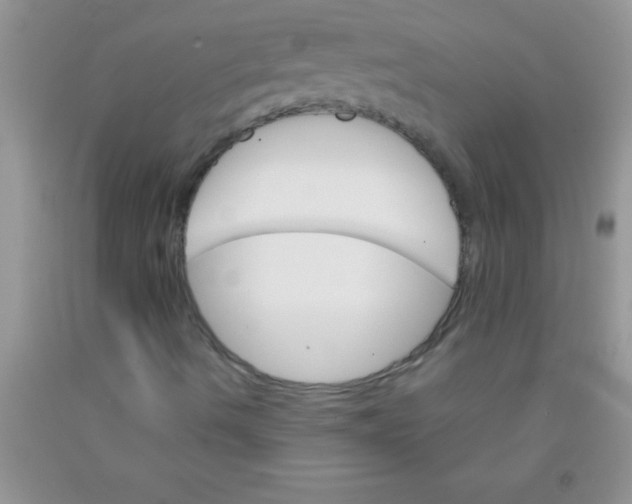 X0000091341490200709071207