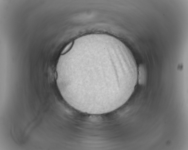 X0000091341491200709071207