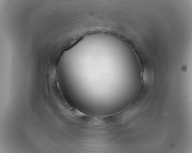 X0000091341492200709071207