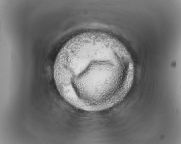 X0000091341493200709071207