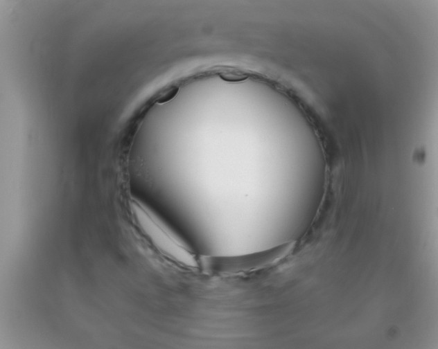 X0000091341496200709071207