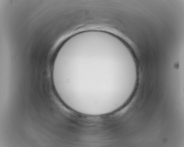 X0000091341498200709071207