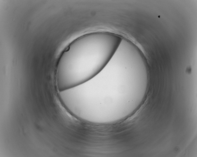 X0000091341500200709071207