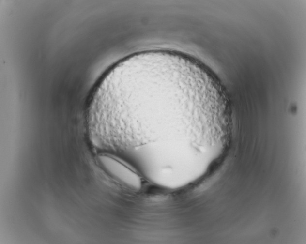 X0000091341501200709071207