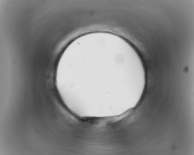 X0000091341502200709071207