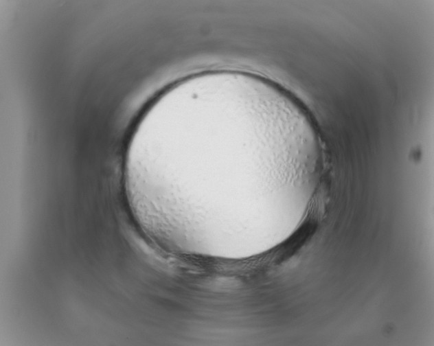 X0000091341503200709071207