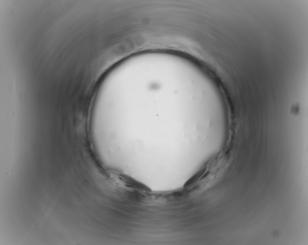 X0000091341505200709071207