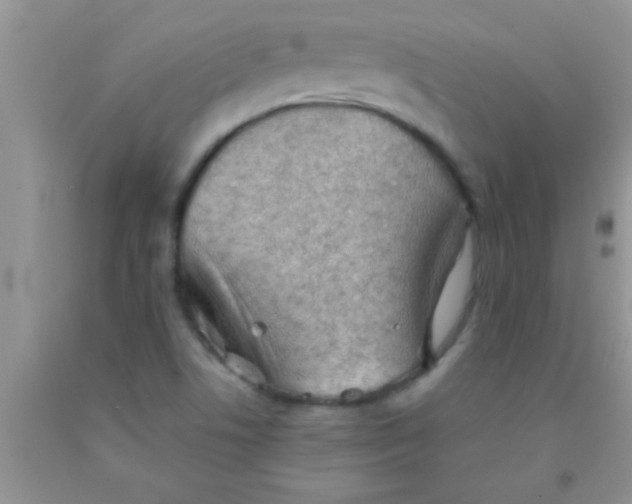 X0000091341506200709071207