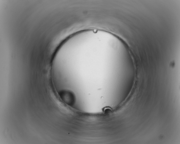 X0000091341507200709071208