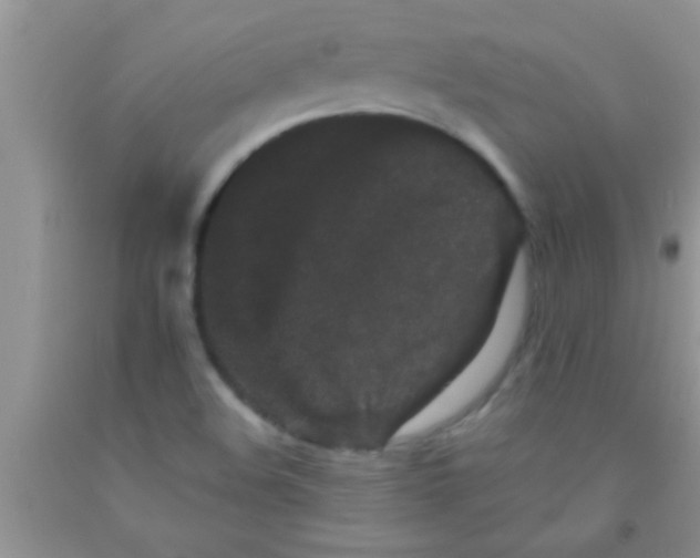 X0000091341508200709071208