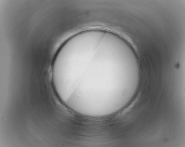 X0000091341509200709071208