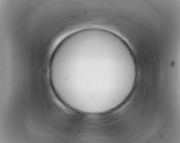 X0000091341511200709071208