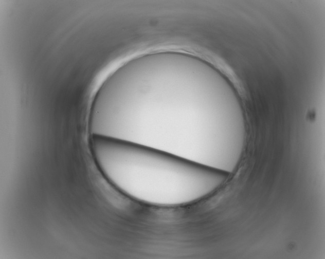 X0000091341512200709071208