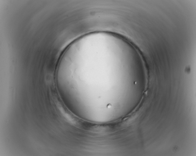 X0000091341513200709071208