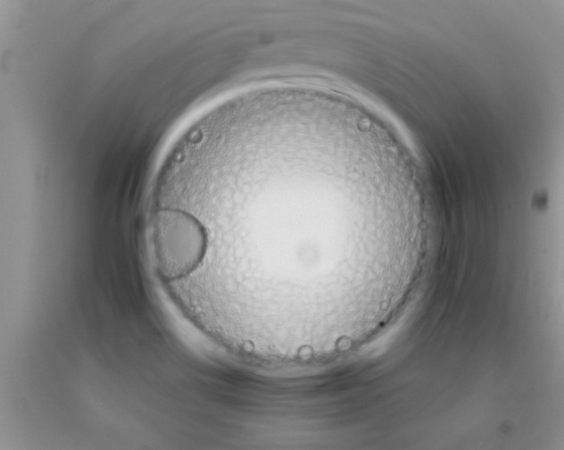 X0000091341514200709071208