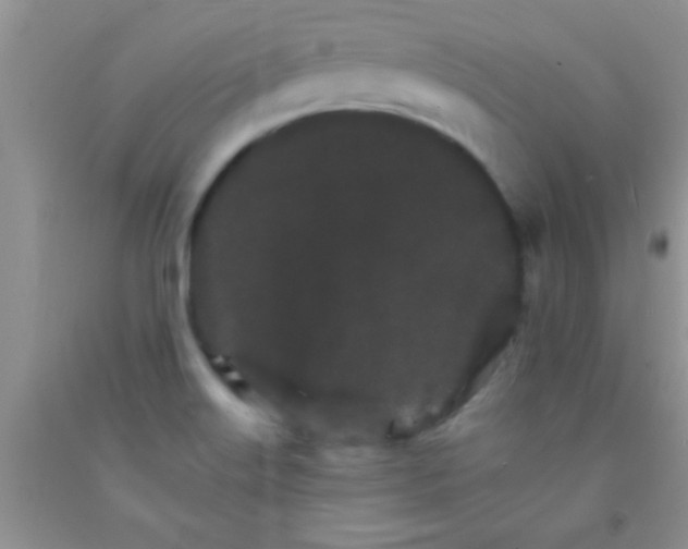 X0000091341515200709071208