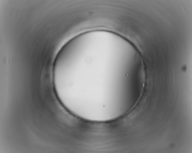 X0000091341516200709071208