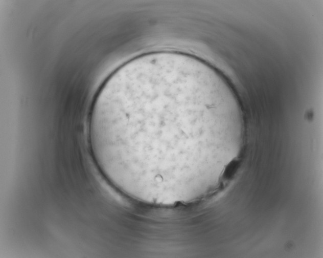 X0000091341517200709071208