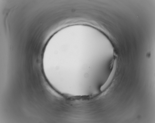 X0000091341518200709071208