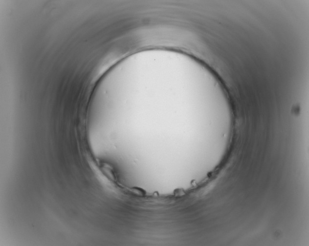 X0000091341521200709071208