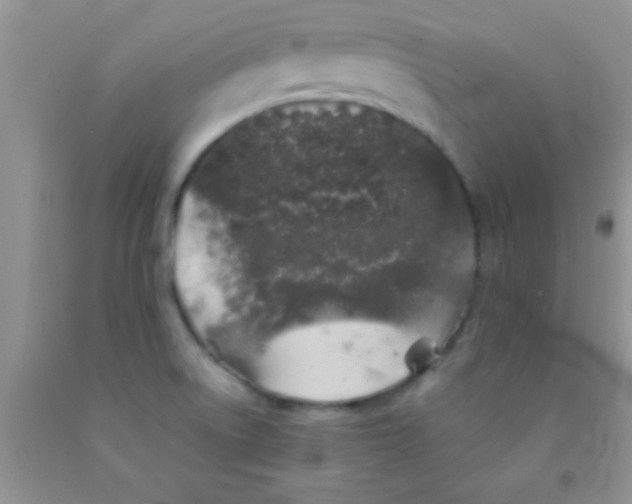 X0000091341522200709071208