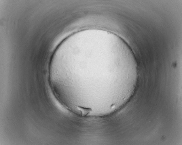 X0000091341523200709071208