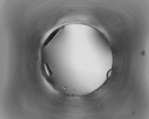 X0000091341524200709071208