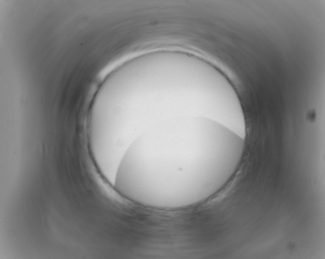 X0000091341526200709071208