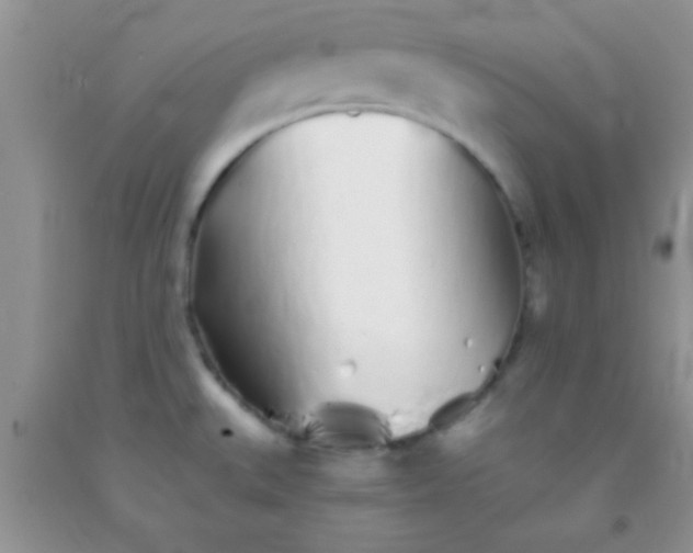 X0000091341527200709071208