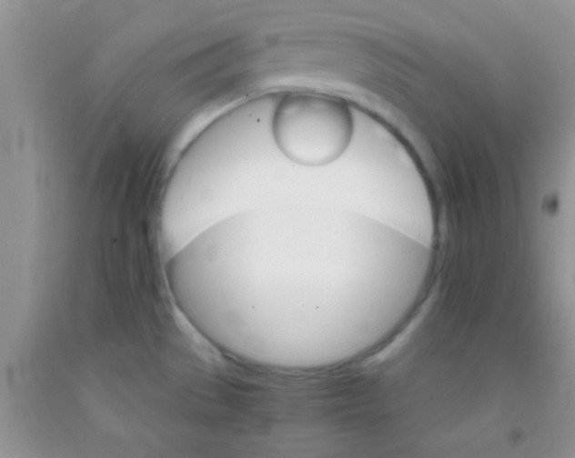 X0000091341529200709071208